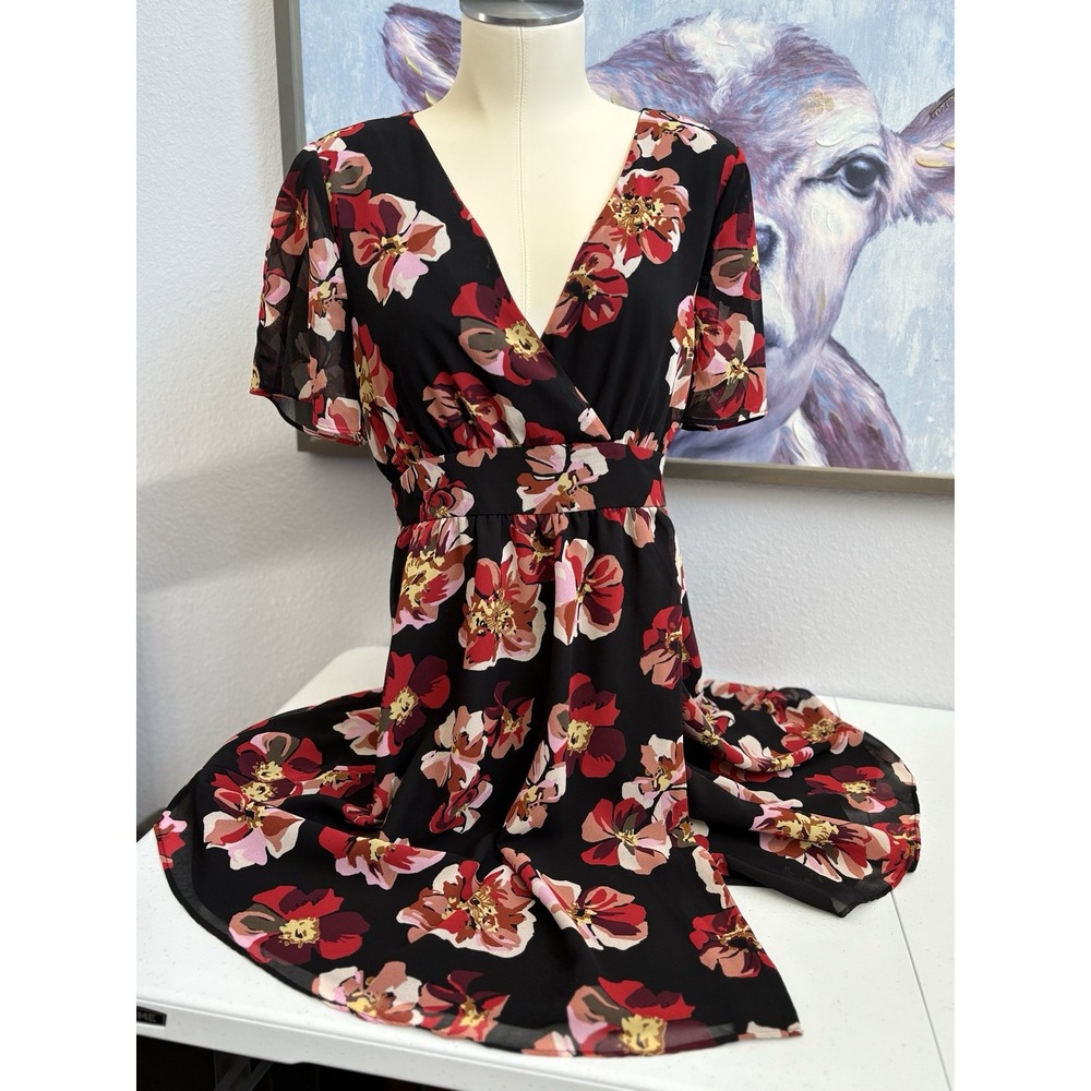 Madewell Women's Size 4 Black Pink Red‎ Floral V-Neck Short Sleeve Lined Dress